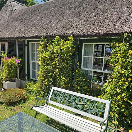 Meyerhof Leilighet Cape Town Eksteriør bilde