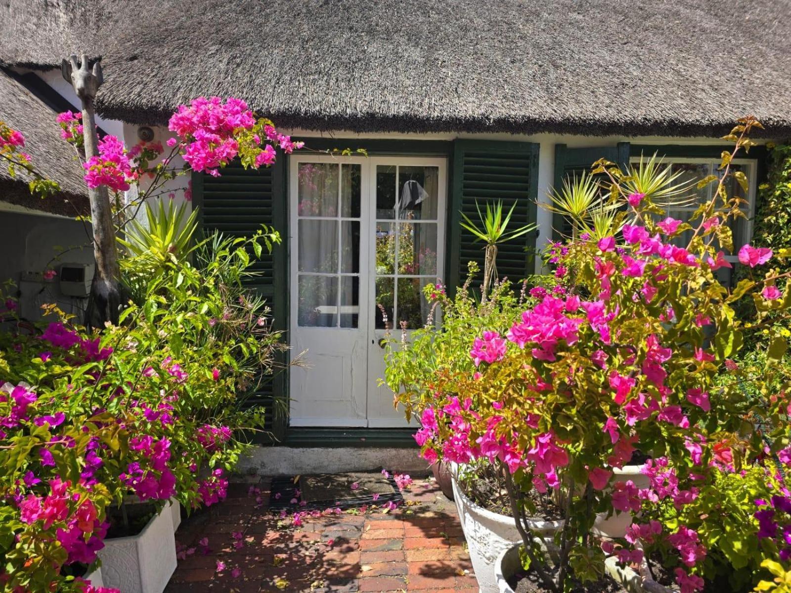 Meyerhof Leilighet Cape Town Rom bilde