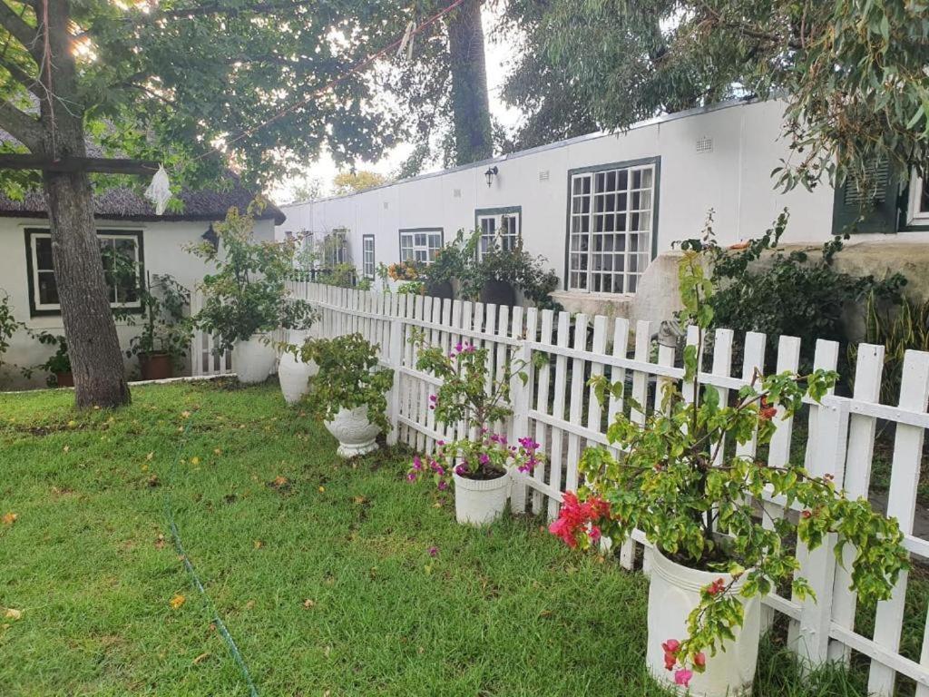 Meyerhof Leilighet Cape Town Eksteriør bilde