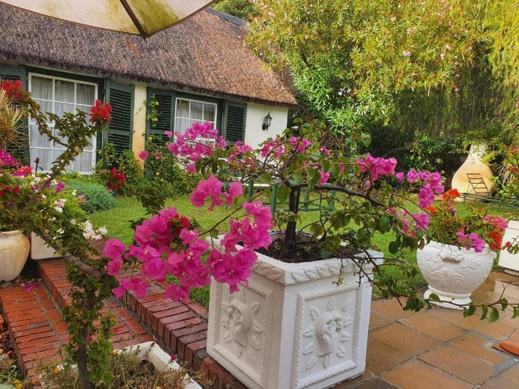 Meyerhof Leilighet Cape Town Eksteriør bilde